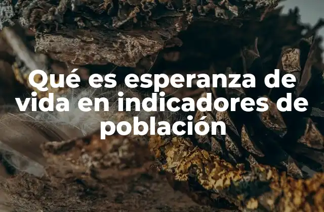 Qué es Esperanza de Vida en Indicadores de Población