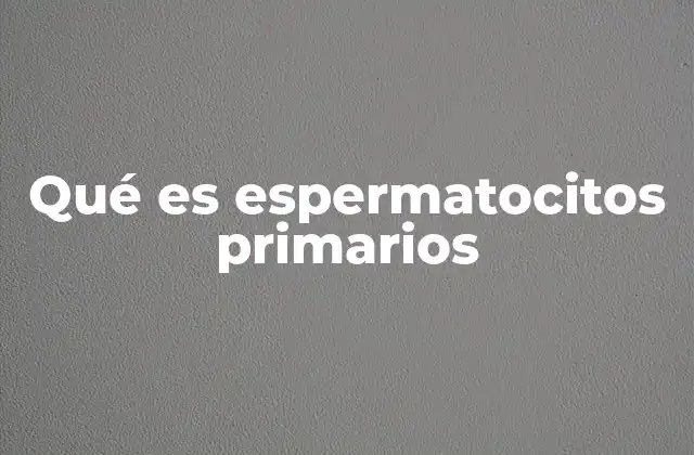 Qué es Espermatocitos Primarios