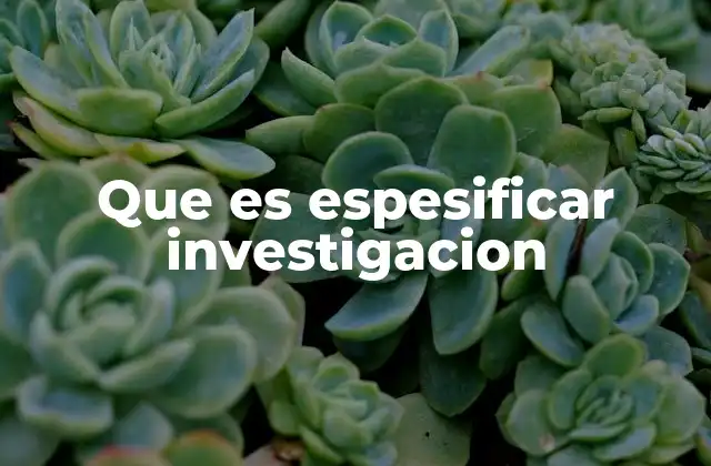 Que es Espesificar Investigacion