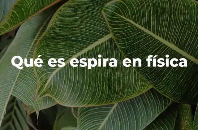 Qué es Espira en Física