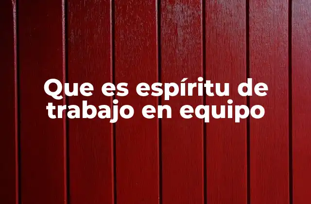 Que es Espíritu de Trabajo en Equipo