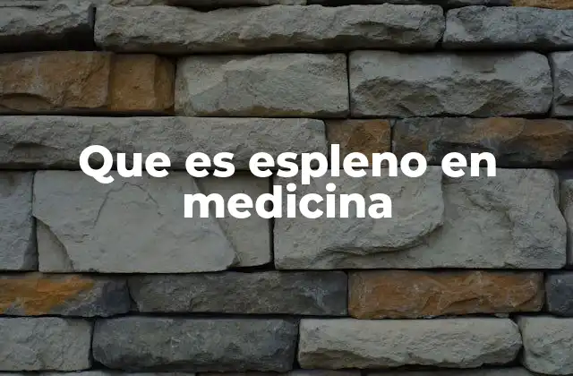 Que es Espleno en Medicina 2 El bazo y su función en el cuerpo humano
