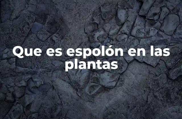 Que es Espolón en las Plantas 2 Estructura y función del espolón en la morfología vegetal