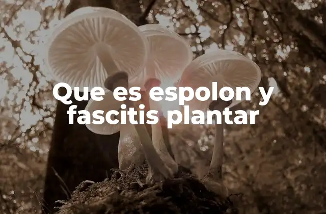 Que es Espolon y Fascitis Plantar