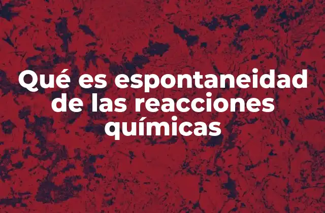 Qué es Espontaneidad de las Reacciones Químicas