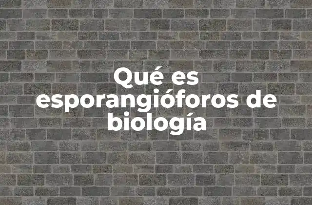 Qué es Esporangióforos de Biología