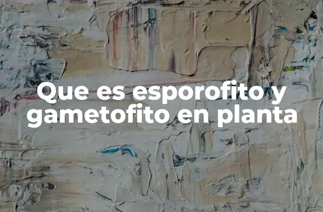 Que es Esporofito y Gametofito en Planta