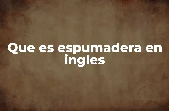 Que es Espumadera en Ingles