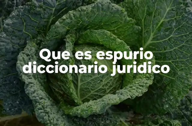 Que es Espurio Diccionario Juridico