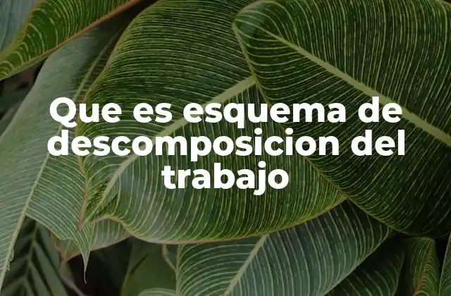 Que es Esquema de Descomposicion Del Trabajo