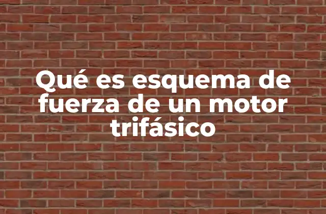 Qué es Esquema de Fuerza de un Motor Trifásico