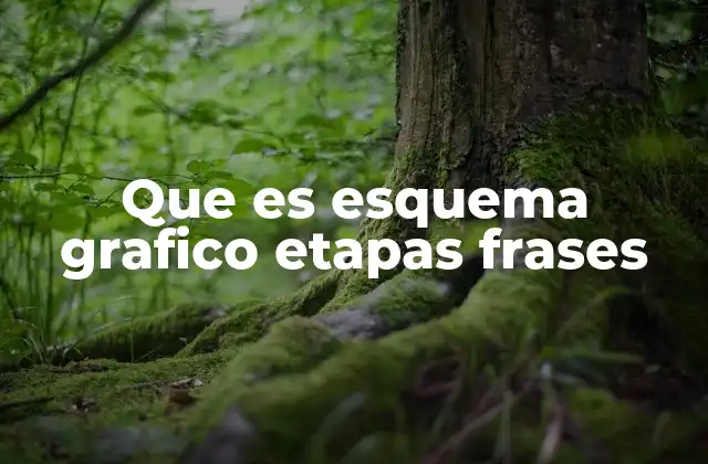 Que es Esquema Grafico Etapas Frases