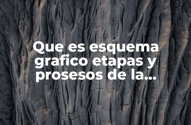 Que es Esquema Grafico Etapas y Prosesos de la Administrativo 2 La importancia de visualizar los procesos administrativos