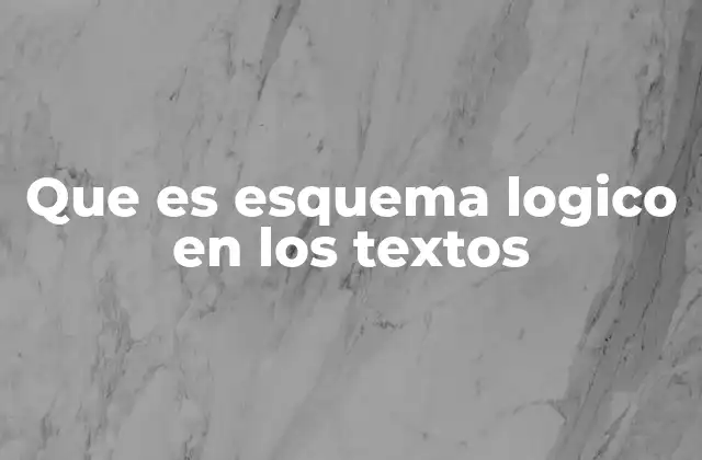 Que es Esquema Logico en los Textos