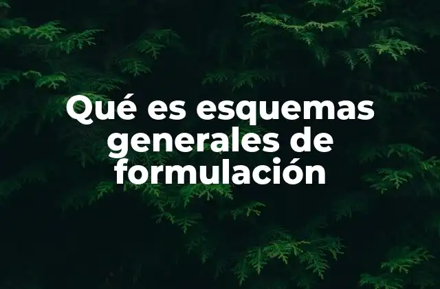 Qué es Esquemas Generales de Formulación 2 La importancia de los esquemas en el desarrollo de productos