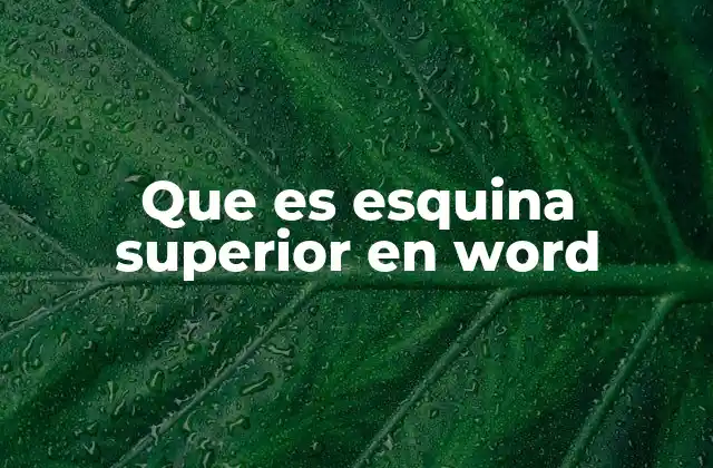 Que es Esquina Superior en Word 2 Ubicación y funciones de la esquina superior en Word
