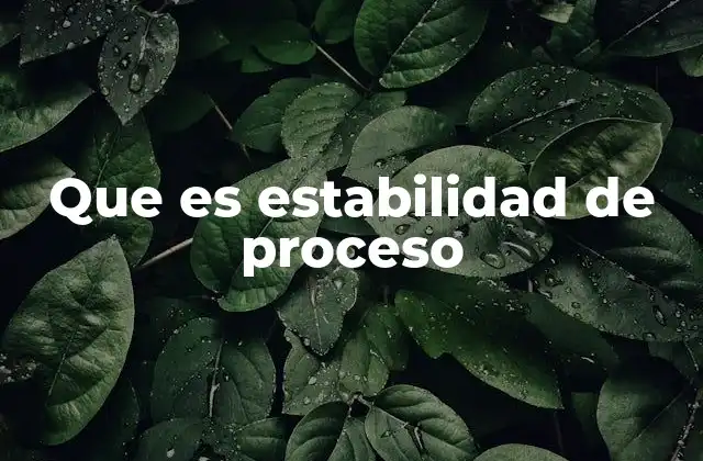 Que es Estabilidad de Proceso