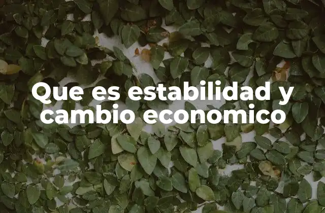 El equilibrio entre dinamismo y control en el entorno económico