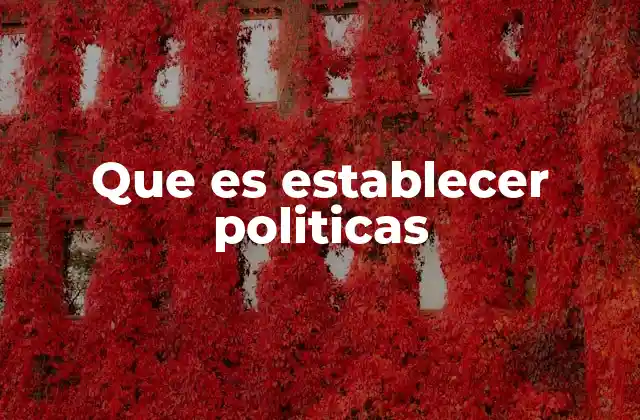 Que es Establecer Politicas