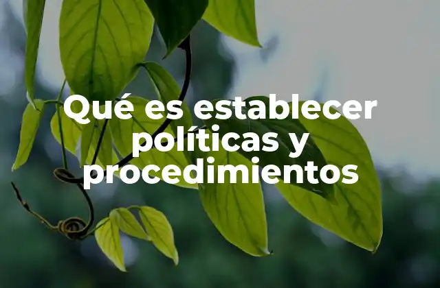 Qué es Establecer Políticas y Procedimientos 2 La importancia de tener políticas claras en las organizaciones
