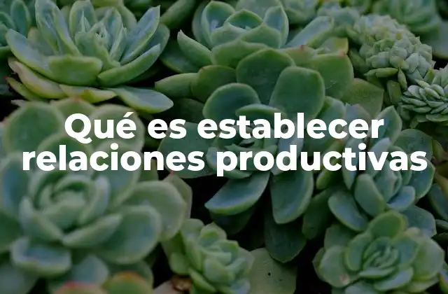 Qué es Establecer Relaciones Productivas