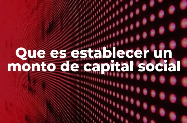 Que es Establecer un Monto de Capital Social