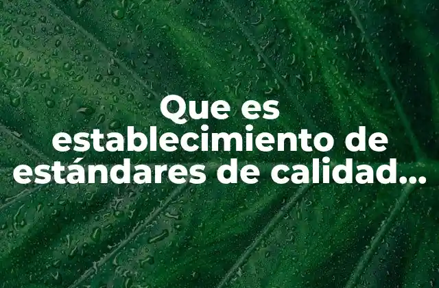 Que es Establecimiento de Estándares de Calidad Tiempos y Características