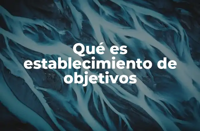 Qué es Establecimiento de Objetivos