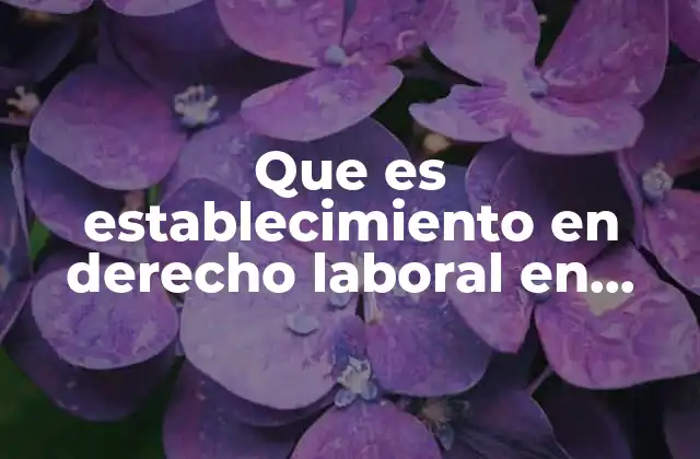 Que es Establecimiento en Derecho Laboral en Mexico