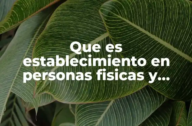 Que es Establecimiento en Personas Fisicas y Morales