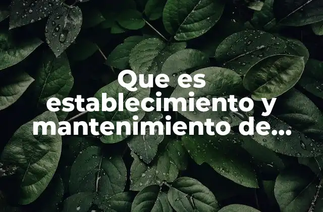 Que es Establecimiento y Mantenimiento de Informacion