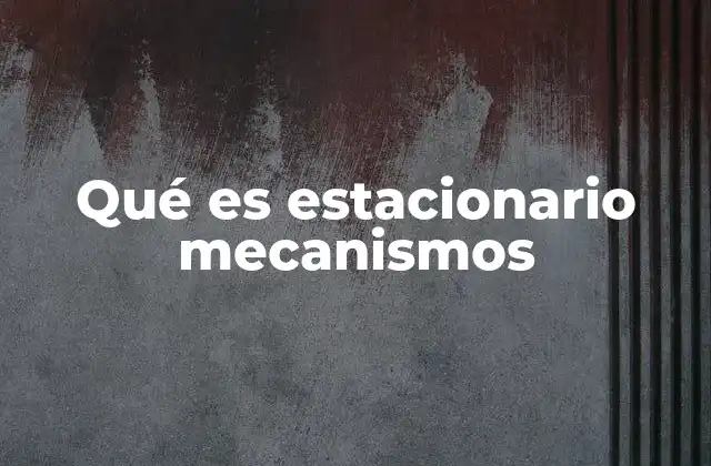 Qué es Estacionario Mecanismos