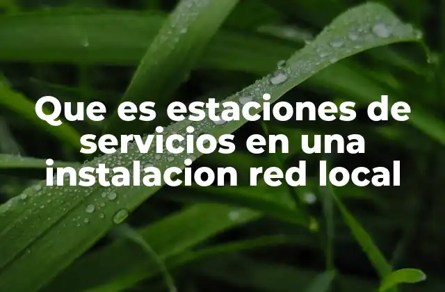 Que es Estaciones de Servicios en una Instalacion Red Local
