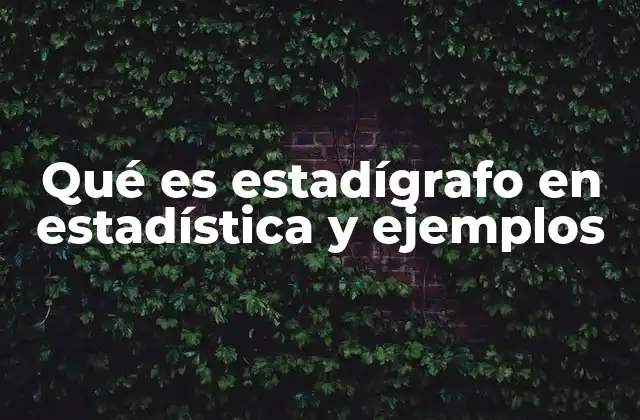 La importancia de los estadígrafos en el análisis de datos