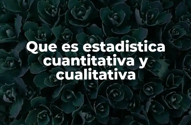 Que es Estadistica Cuantitativa y Cualitativa