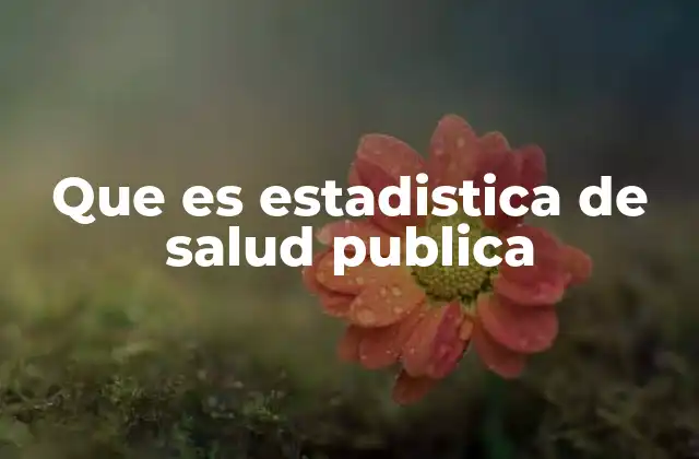 Que es Estadistica de Salud Publica