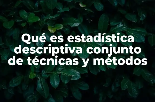 Qué es Estadística Descriptiva Conjunto de Técnicas y Métodos