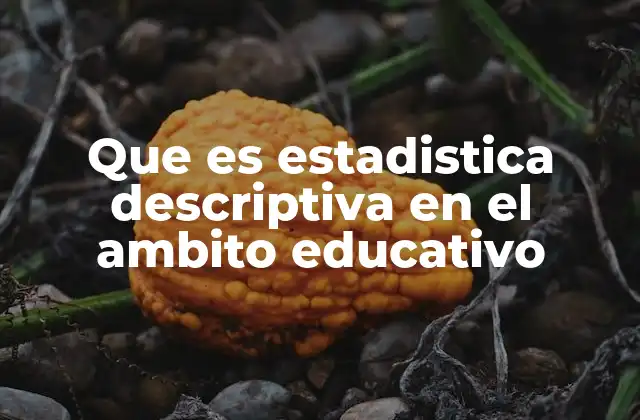 Que es Estadistica Descriptiva en el Ambito Educativo