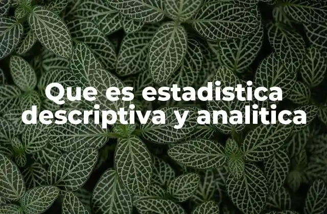 Que es Estadistica Descriptiva y Analitica