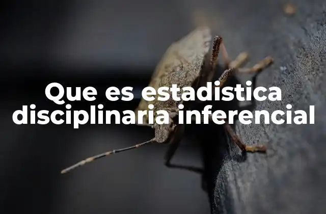 Que es Estadistica Disciplinaria Inferencial