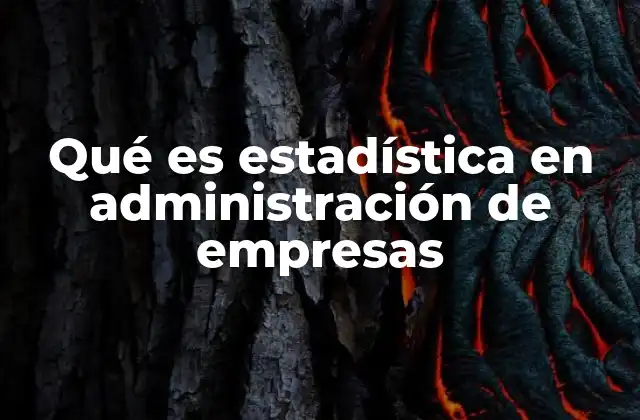Qué es Estadística en Administración de Empresas