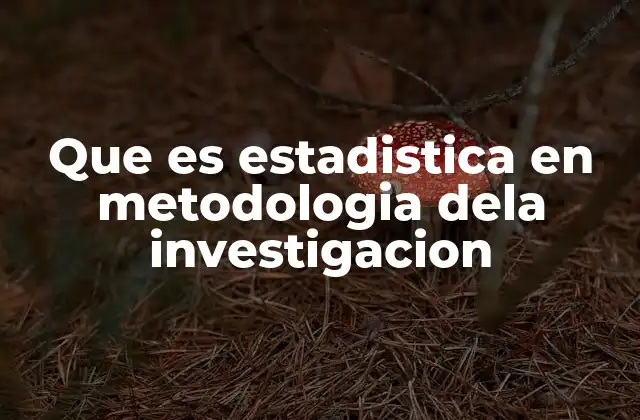 Que es Estadistica en Metodologia Dela Investigacion
