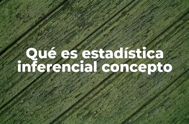 Qué es Estadística Inferencial Concepto