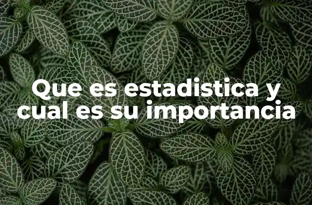 La relevancia de los datos en la toma de decisiones