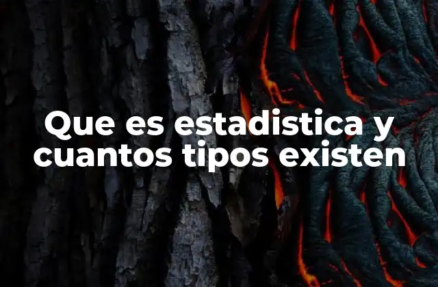 Que es Estadistica y Cuantos Tipos Existen