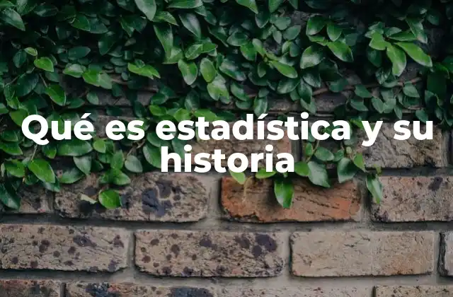 Qué es Estadística y Su Historia