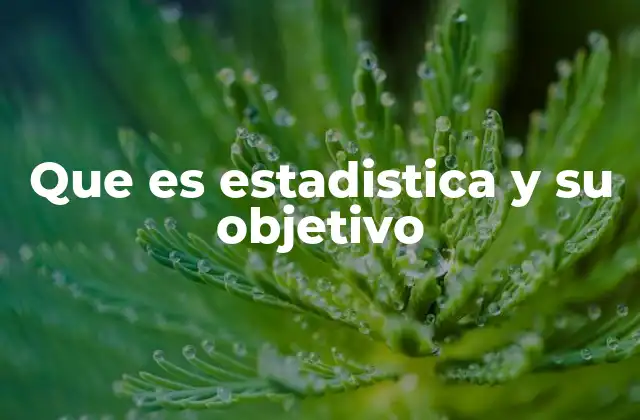 Que es Estadistica y Su Objetivo