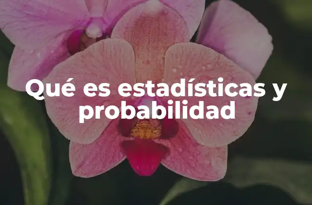 Qué es Estadísticas y Probabilidad