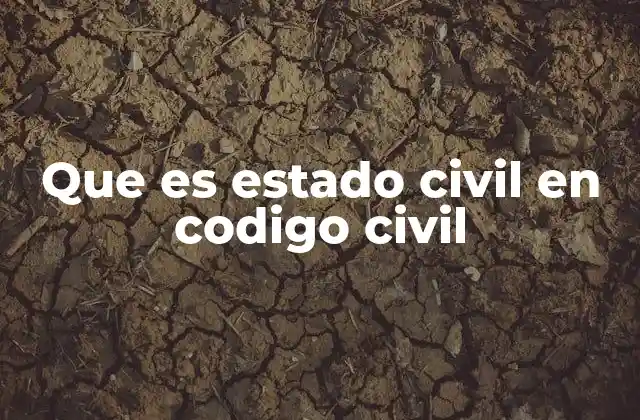 Que es Estado Civil en Codigo Civil