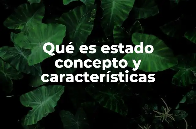 Qué es Estado Concepto y Características